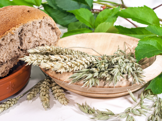 antike römische Landwirtschaft